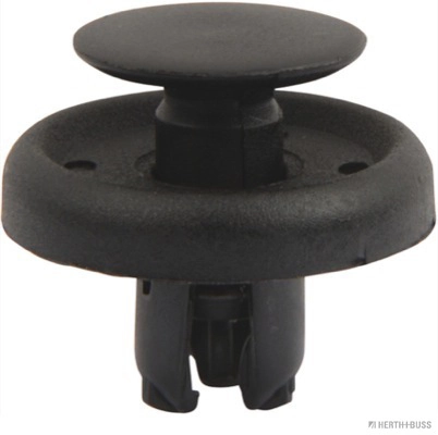 Clip, trim/protection strip